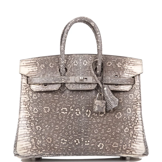 Hermès Ombre Birkin 25 Varanus Salvator Lizard Palladium Hardware 2019