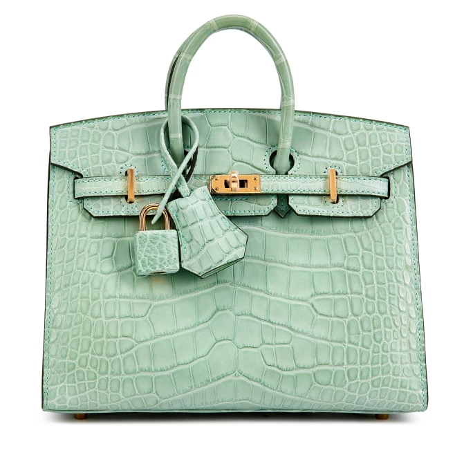 Birkin 20 Matte Alligator