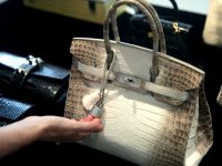 Most Expensive Birkin Bags Ever Sold: Top Records & Insights