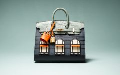 Faubourg 20 cm Limited-Edition Hermès Birkin bag resembling the Paris flagship facade