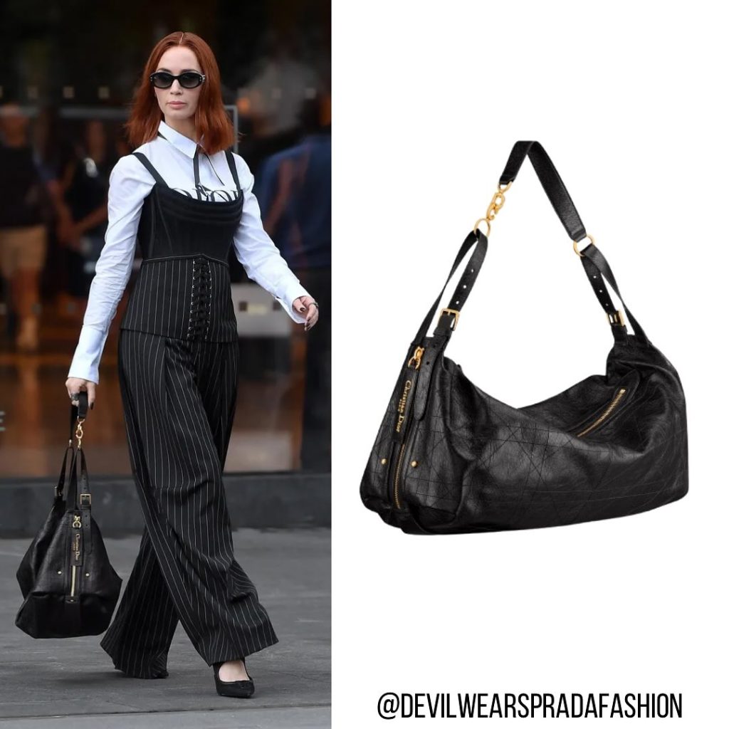 Dior D-Journey (crinkled calfskin)