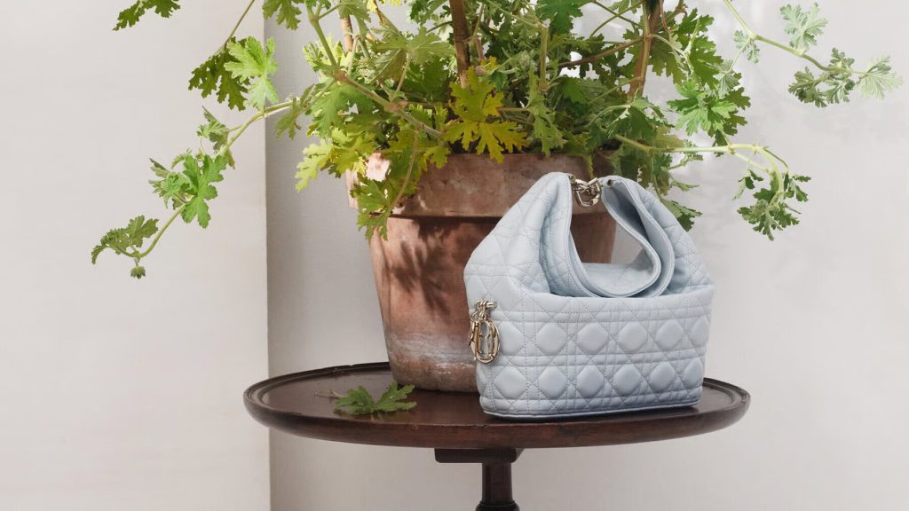 The Dior Toujours Hobo Bag